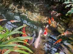 -聚缘堂·海鲜私房菜(松岭路店)