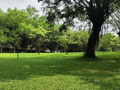 -广州市白云山风景名胜区