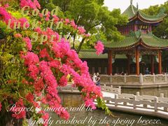 -宝墨园景区