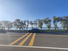 -西京湾花海