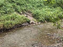 -桤木河湿地公园