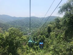 -野象谷景区