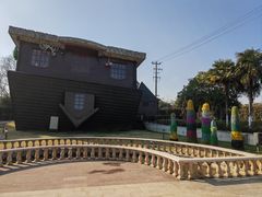 -金山农民画村-枫泾波兰倒置屋