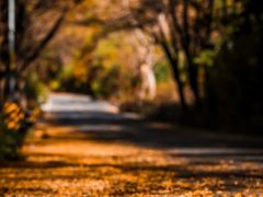 -叠溪松坪沟景区