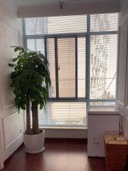 -武汉五洲整形外科医院