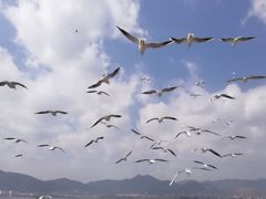 -稷泽·海丽宾雅温泉度假酒店