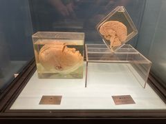 -浙江自然博物院(杭州馆)