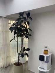 -HEYAN荷妍专业脱毛连锁机构