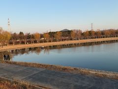 -羊山湖公园