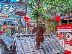 -田园印象·成都土菜院子(华阳店)