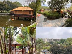 -罗浮山嘉宝田森林温泉度假酒店