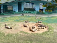 -西霞口神雕山野生动物世界