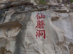 -仙蘑洞