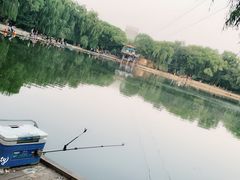 -青城公园