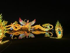 -武汉园博园(武汉自然博物馆)