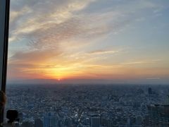 -东京都厅舍