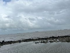 -上海吴淞炮台湾国家湿地公园