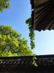 -谷雨官方旗舰店
