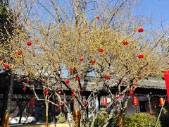 -南京市民俗博物馆(甘熙宅第)