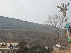 -九寨沟-树正沟