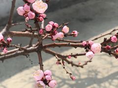 -庆岭迎宾园正宗活鱼馆