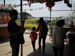 -青浦采草莓天天草莓园