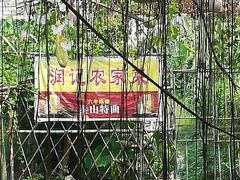 -润记农家菜