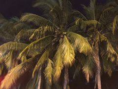 -香香海南菜餐厅