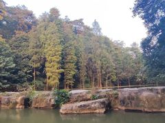 -云溪植物园