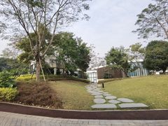-顺峰山公园