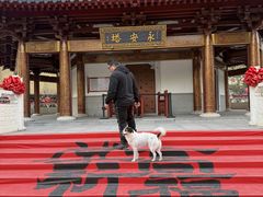 -安亭老街