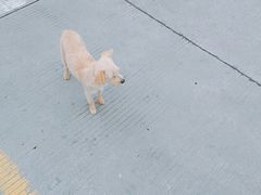 -平望服务区·停车场