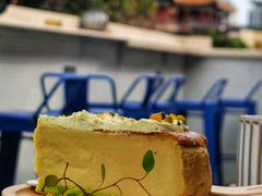 -Sirena海妖日咖夜酒