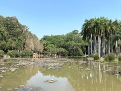 -中国科学院西双版纳热带植物园
