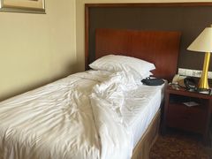 -汕尾巴黎半岛酒店