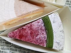 （一只杨梅）益生菌蛋糕-EVERNAKED裸蛋糕(SOHO天山店)