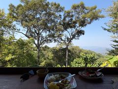 -清迈丛林飞跃 JungleFlight