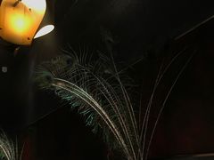 -都氏家DUSJOY(翡翠城店)