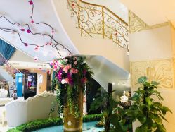 -伽美医疗美容医院·高端抗衰中心