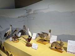 -中国湿地博物馆
