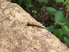 -溪口-滕头旅游景区