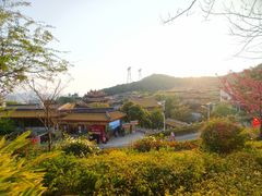-仙岳公园