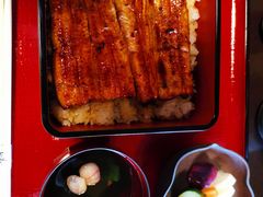 -料亭菊水楼