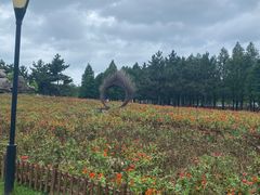 -羊亭河湿地公园