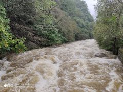 -青峰峡国家森林公园