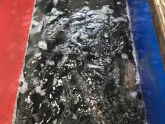 -活鱼馆(宜兴埠店)