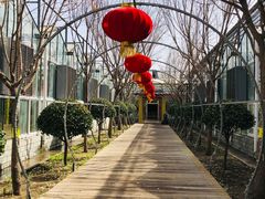 -南宫五洲植物乐园