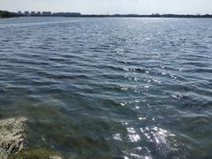 -丁香湖公园