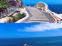 -广东惠东海龟国家级自然保护区
