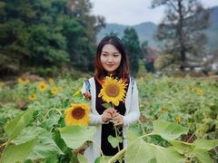 -塔川景区